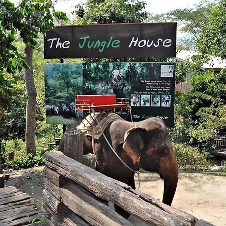 The Jungle House Khaoyai Hotell Mu Si Eksteriør bilde